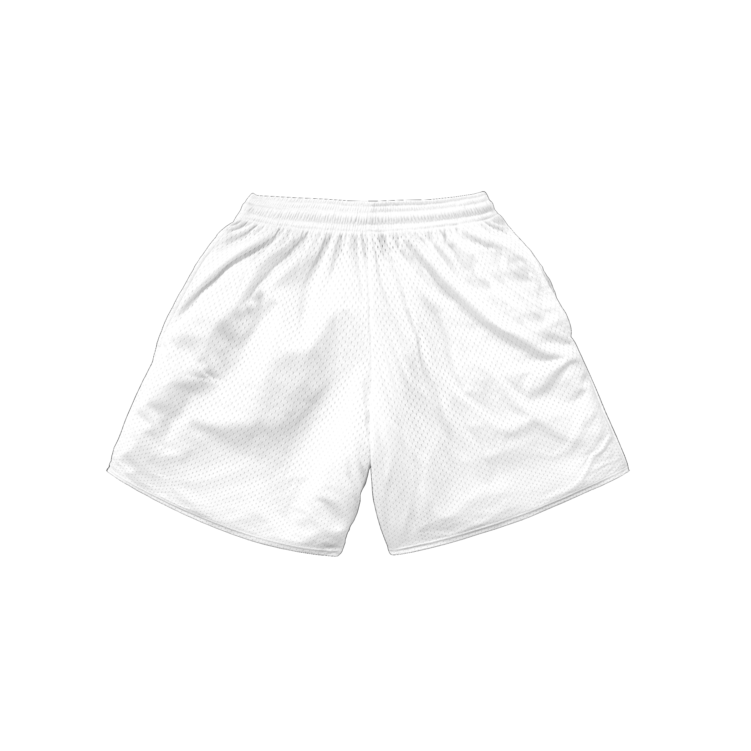 Globe Shorts